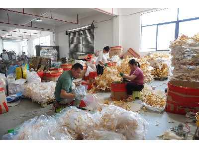 packaging workshop